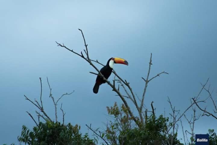 Pousada Mirante De Minas อิตาเปวา ภายนอก รูปภาพ